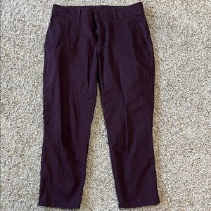The North Face Motion XD Root Brown Dark Purple Ankle Chino Pants in Size 10